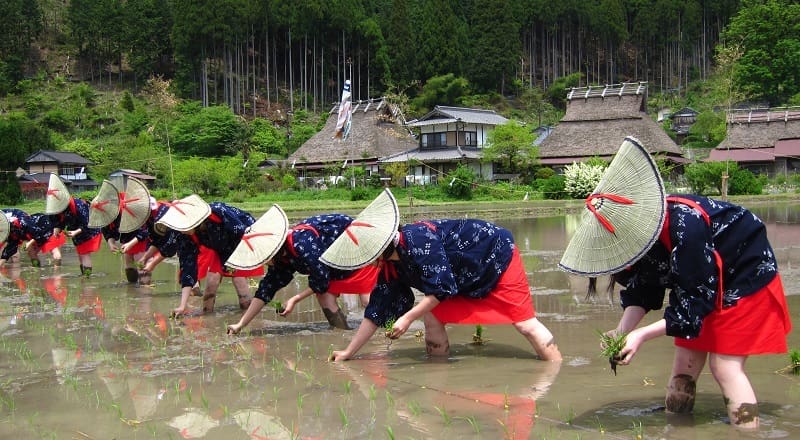 Magical Miyama Village, Kyoto - When Time Stands Still and Hearts Expand 7 202210211634 1