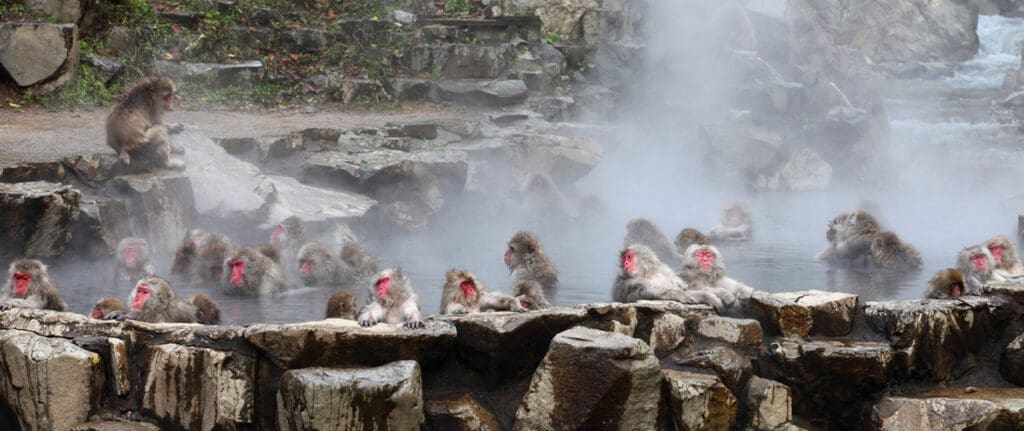 How To Plan A Trip To Japan In 4 Easy Steps 3 trip to japan