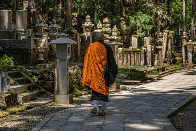 Stone lanterns covered in moss, arranged in a row within a forested area, showcasing traditional Japanese design.
