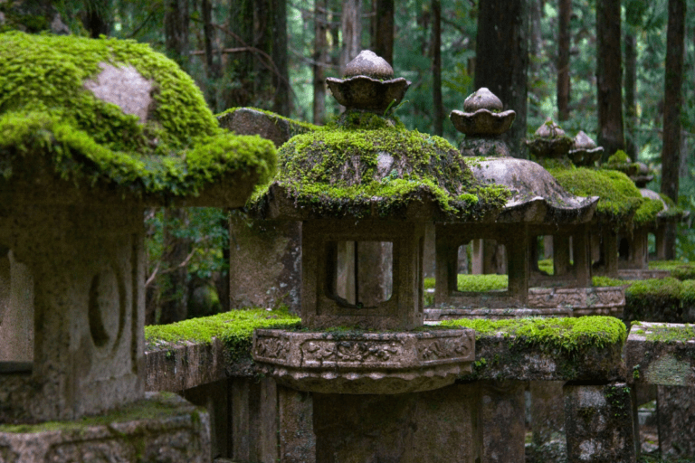 Stone lanterns covered in moss, arranged in a row within a forested area, showcasing traditional Japanese design.