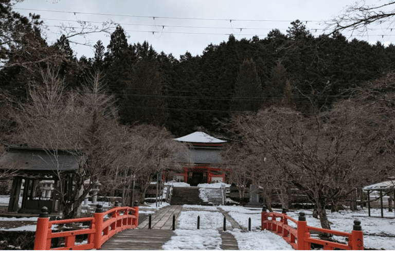 Stone lanterns covered in moss, arranged in a row within a forested area, showcasing traditional Japanese design.