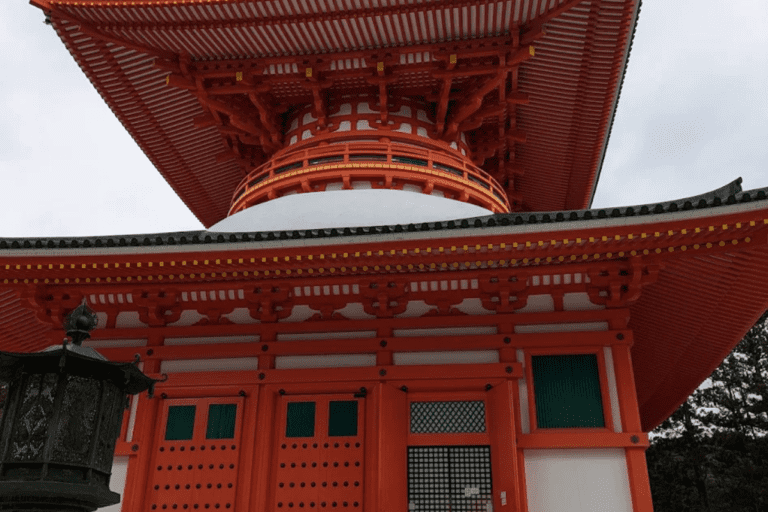 Stone lanterns covered in moss, arranged in a row within a forested area, showcasing traditional Japanese design.