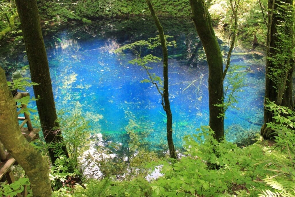 Lose Yourself in the Silence of Shirakami-Sanchi | Top Trails and Nature Spots in Shirakami-Sanchi (Aomori/Akita), Japan
