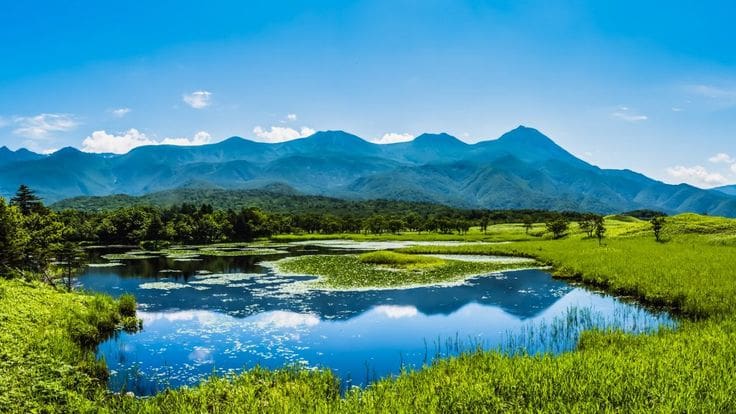 Top Things to Do in the Ogasawara Islands (Bonin Islands), Japan | Ogasawara Islands Travel Guide – How to Reach Japan’s Hidden Gem