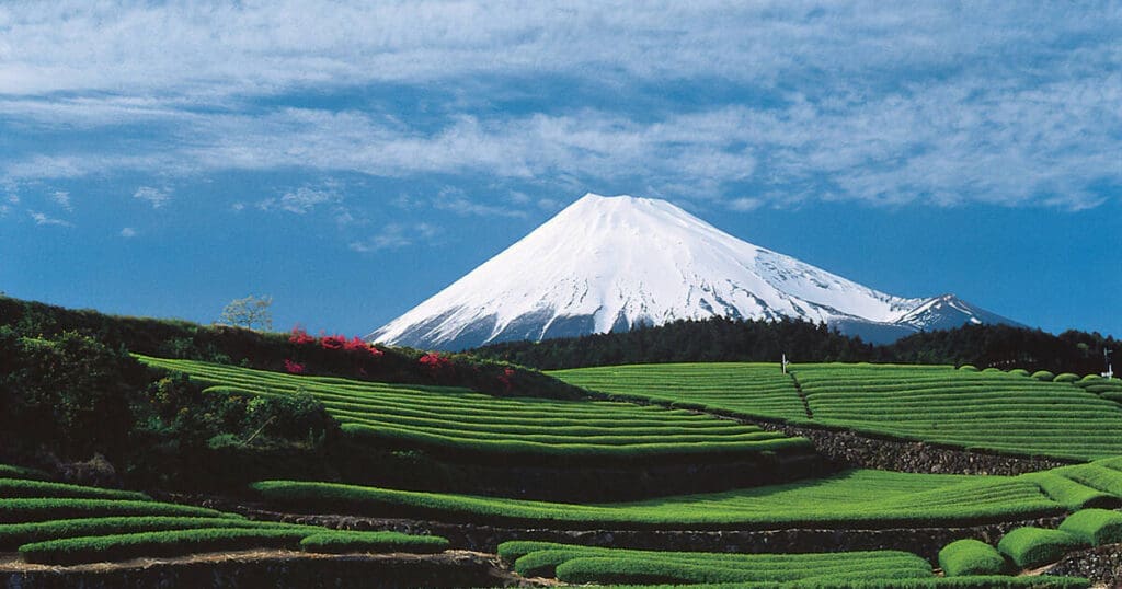 Explore Fujisan – Japan’s Sacred Mountain and UNESCO Site | Why Fujisan Is More Than Just a Mountain in Japan