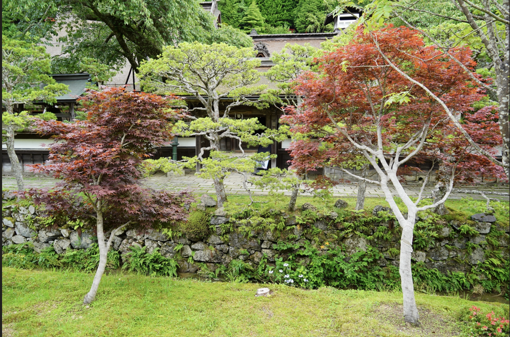 How to Visit Koyasan from Osaka: Complete Travel & Itinerary Guide 4 image 122