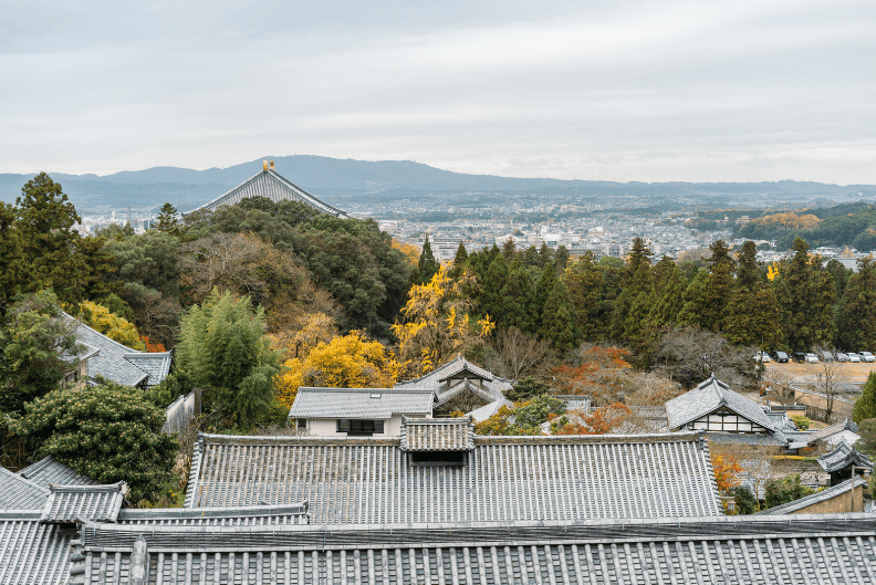 7 Unmissable Highlights: What to See in Nara’s Ancient Capital 12 image 135