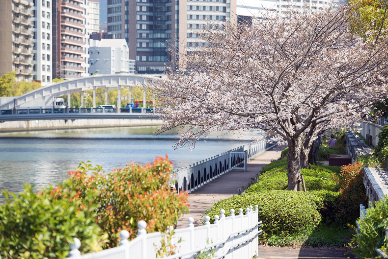 10 Best Osaka Family Attractions for an Unforgettable Trip 1 image 43