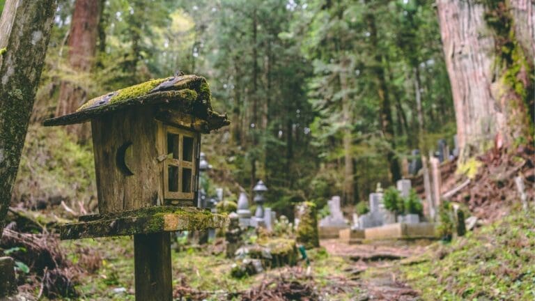Wooden birdhouse with a moss-covered roof situated in a forested area with gravestones in the background.