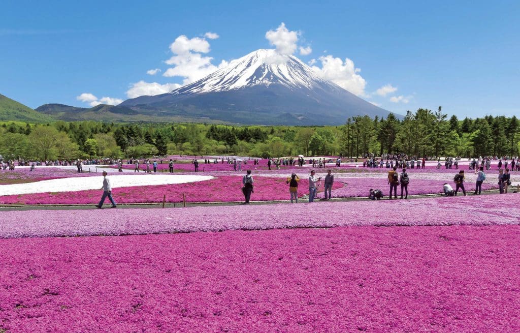 UNESCO World Heritage Sites in Japan