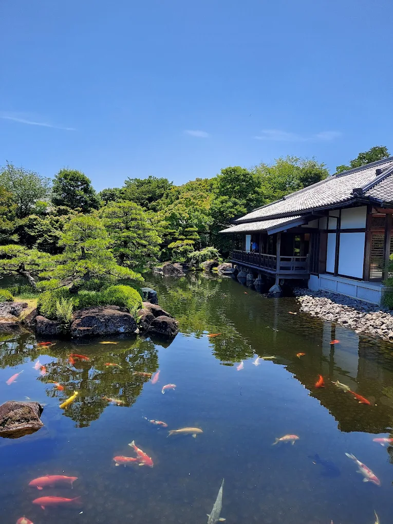 Blogs 24 Koi fish swimming in a tranquil pond surrounded by greenery and traditional Japanese architecture.