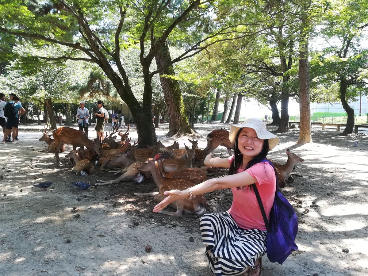 A woman in a sunhat and striped pants poses smiling among deer under trees in a sunlit Osaka park. Other people and more deer are visible, capturing the spirit of Best Adventure Kansai and the joy of Kansai local tours.