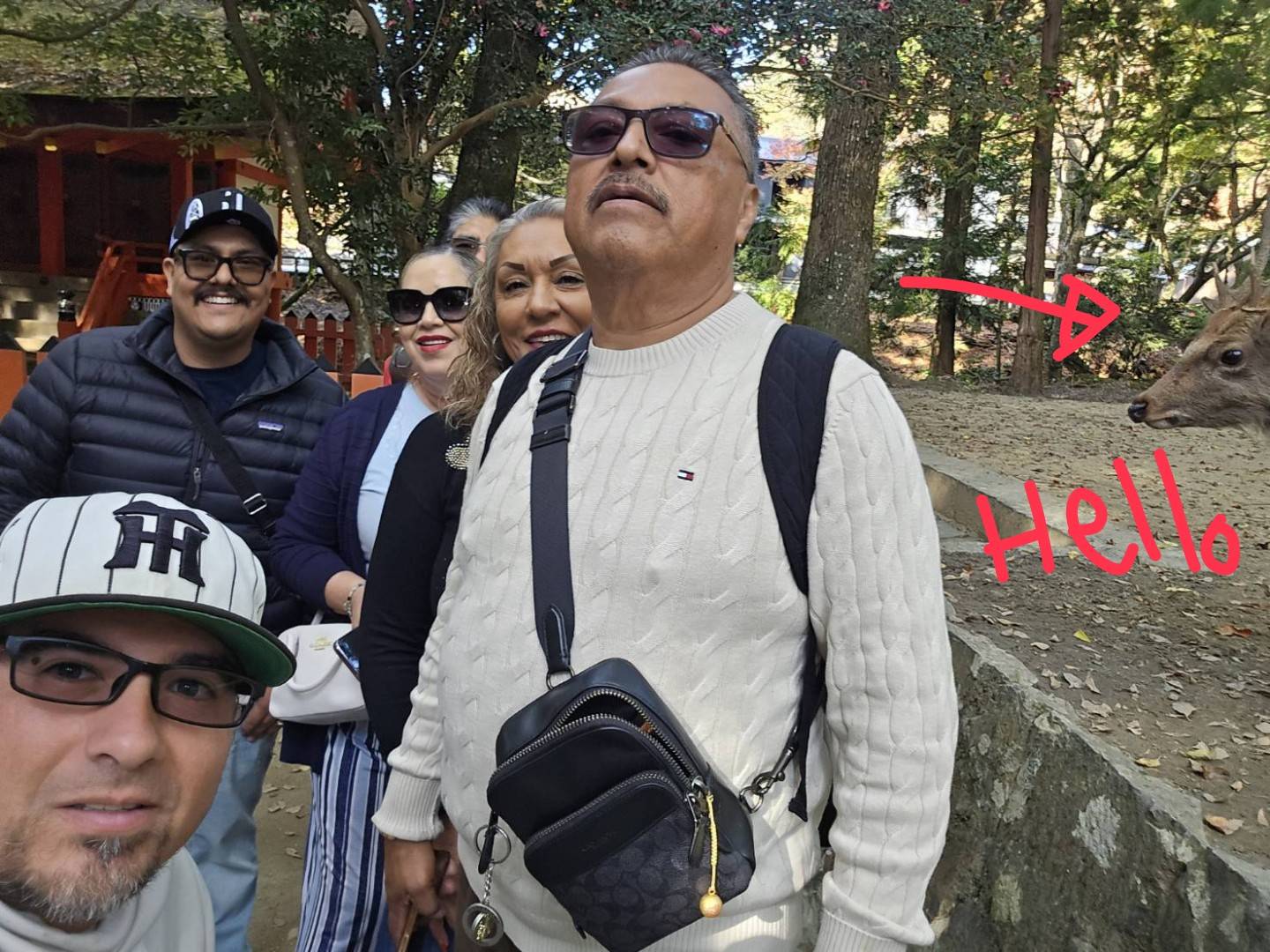 Group of visitors posing for a photo with a deer in Nara, Japan, in a natural outdoor setting.